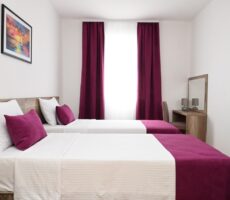 Dvokrevetna soba sa odvojenim krevetima Hotel Zemun 05